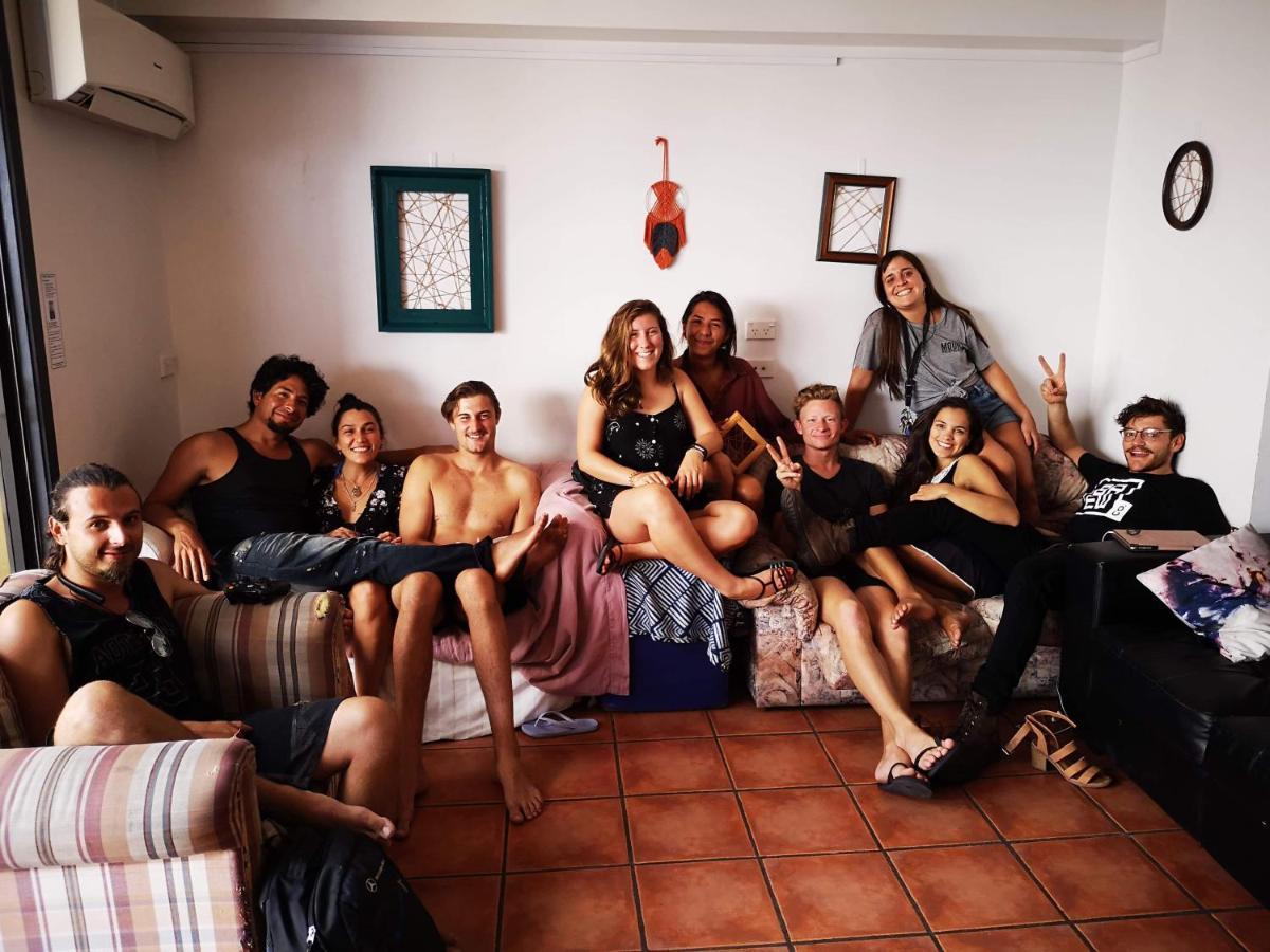 Mount Backpackers Pansiyon Mount Maunganui Dış mekan fotoğraf