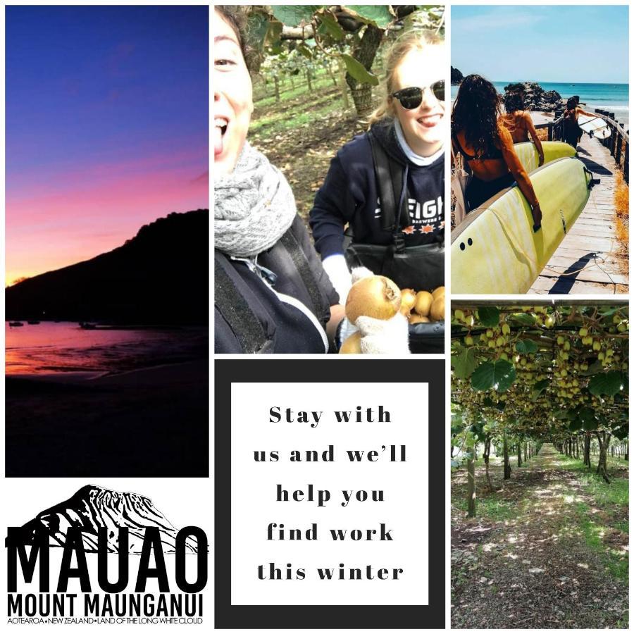 Mount Backpackers Pansiyon Mount Maunganui Dış mekan fotoğraf